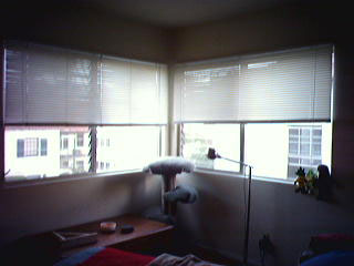 living room windows